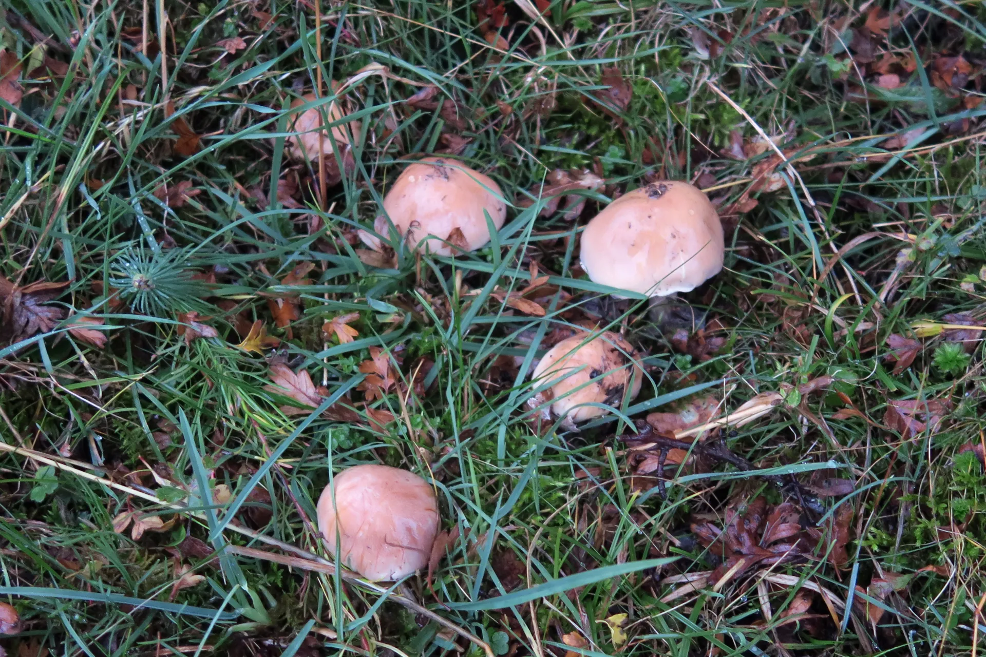 1 -